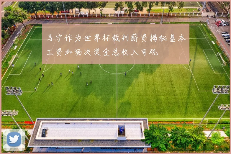 马宁作为世界杯裁判薪资揭秘基本工资加场次奖金总收入可观