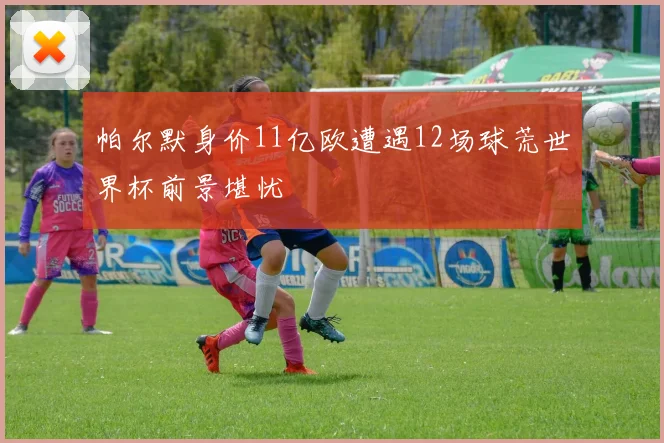 帕尔默身价11亿欧遭遇12场球荒世界杯前景堪忧
